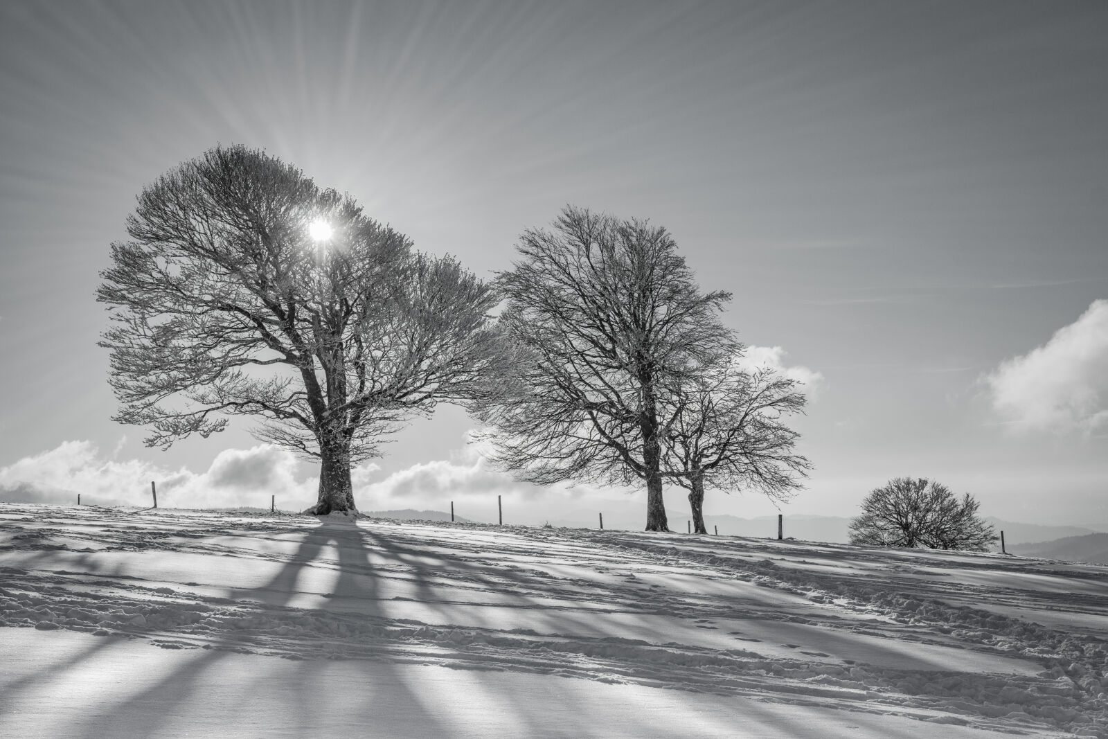 Sony a6000 + Sigma 30mm F2.8 EX DN sample photo. Clouds, cold, countryside, frost photography