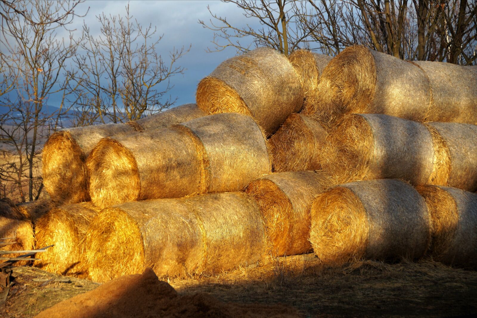Sony SLT-A58 sample photo. Packages, hay, straw photography