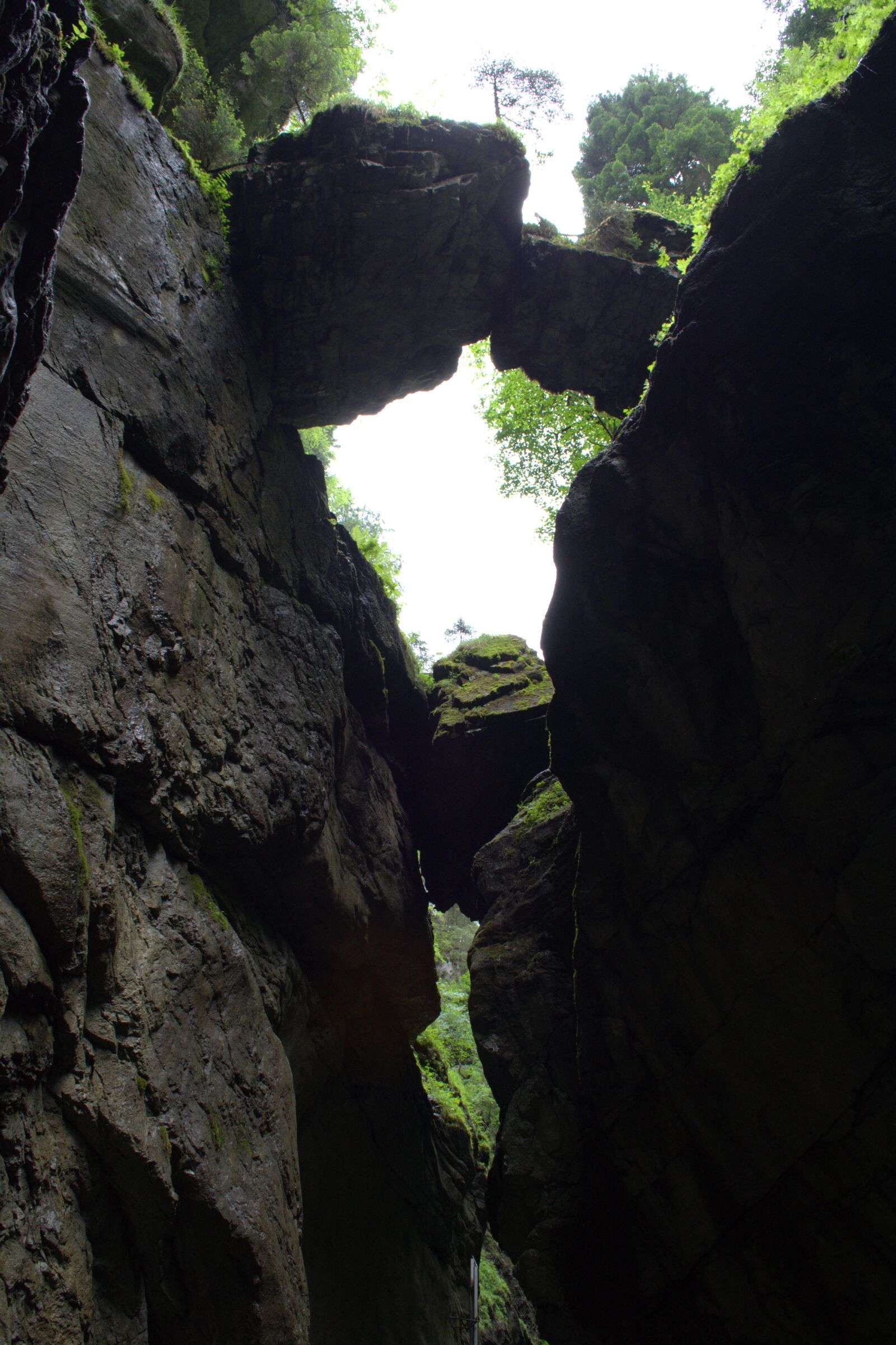 Nikon D5200 sample photo. Broad brook clammy, allg photography