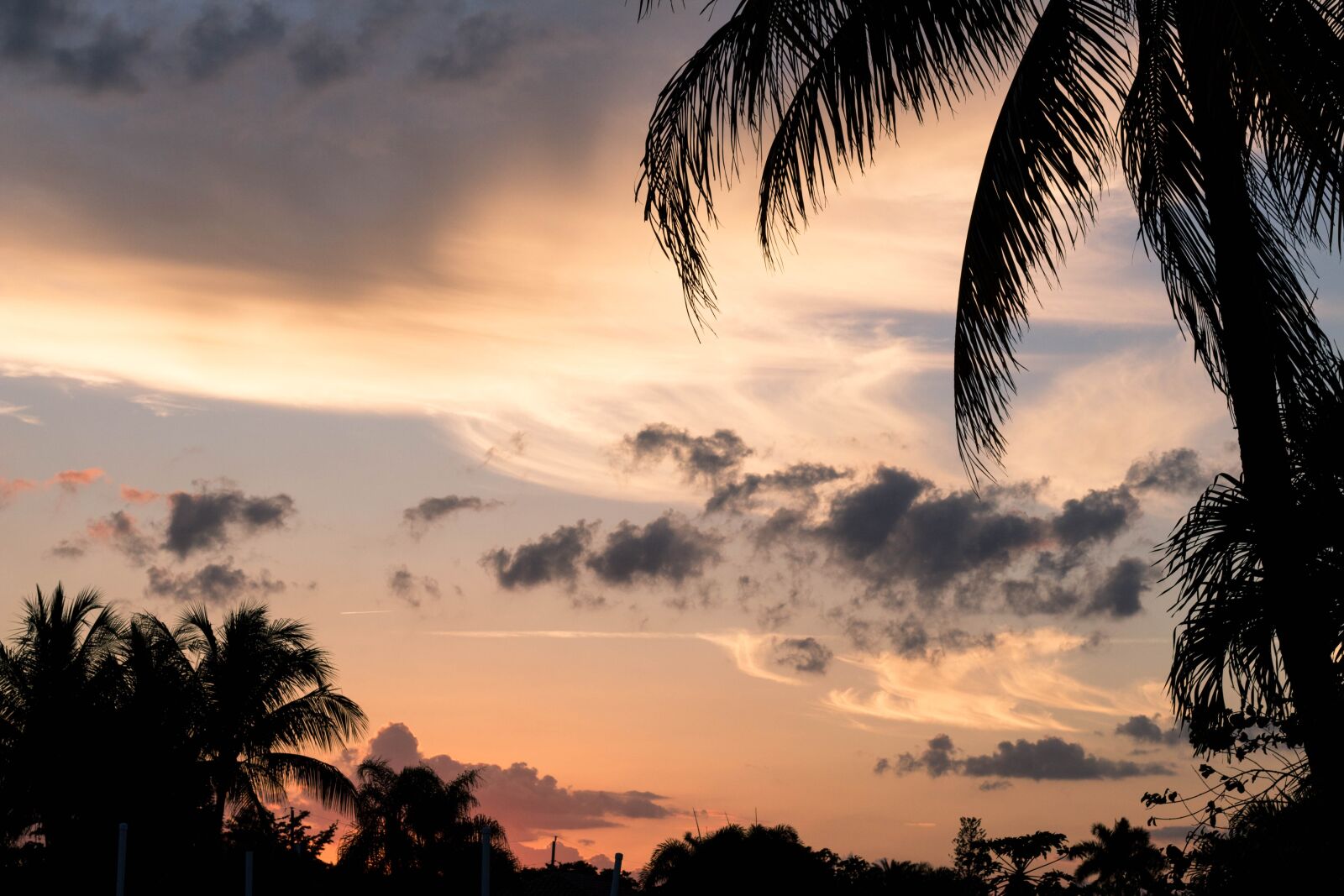 Canon EOS 700D (EOS Rebel T5i / EOS Kiss X7i) sample photo. Sunset, palms, clouds photography