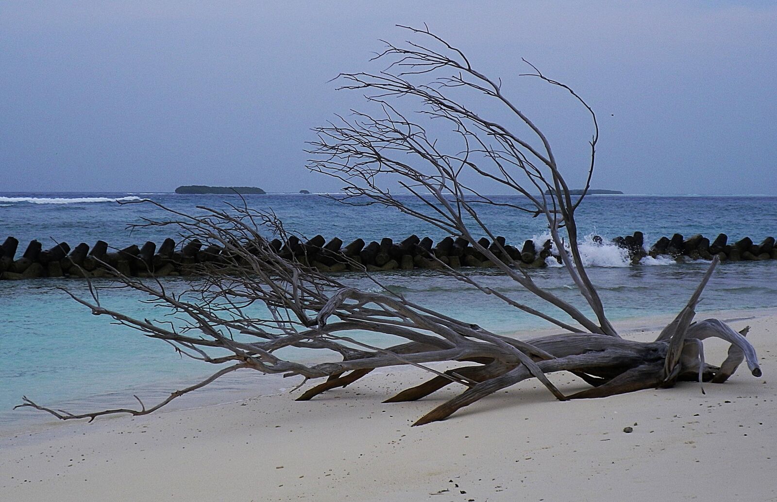 Pentax Optio H90 sample photo. Maldives, beach, flotsam photography
