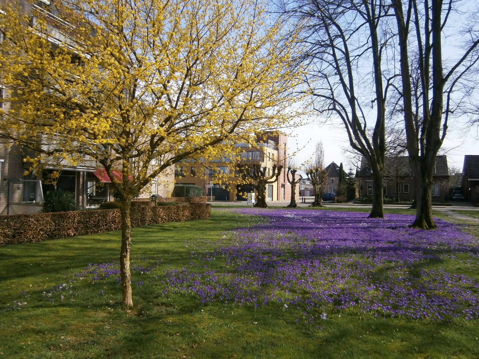 Olympus VG130,D710 sample photo. Nijverdal, spring, mill photography