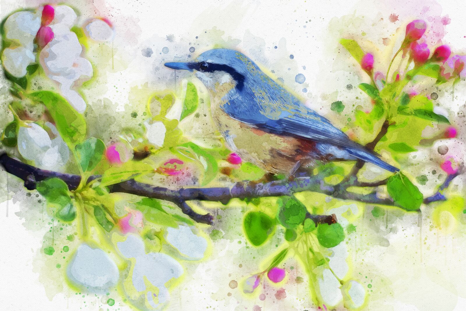 Canon EF 50mm F1.4 USM sample photo. Spring bird, bird, spring photography