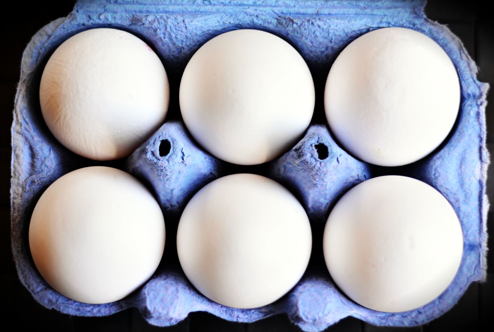 Nikon D5200 sample photo. Egg, egg carton, white photography