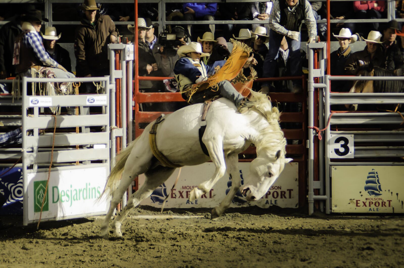Nikon D7000 sample photo. Contest, livestock, rodeo photography