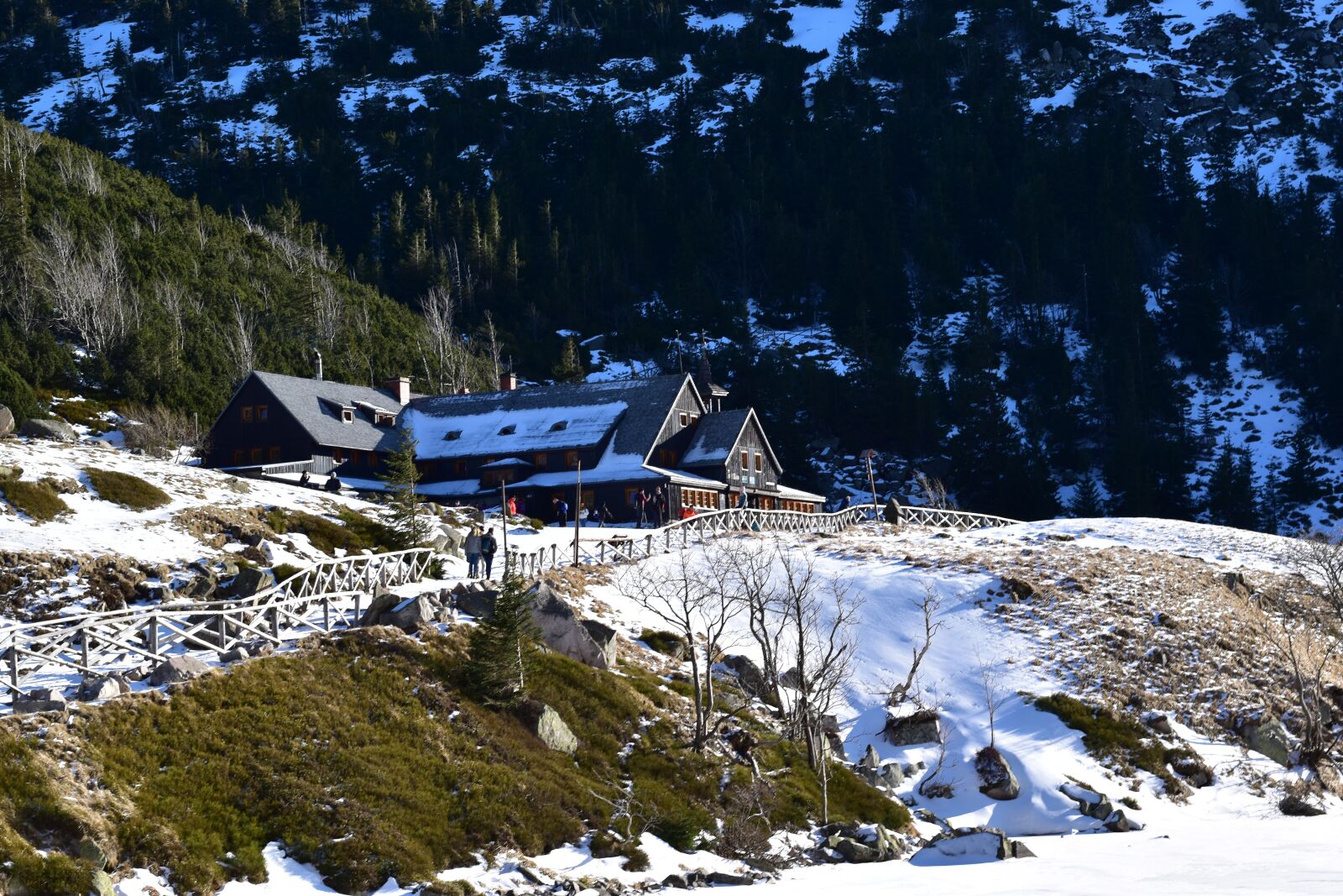 Nikon D3500 sample photo. Hiking, shelter, karpac photography