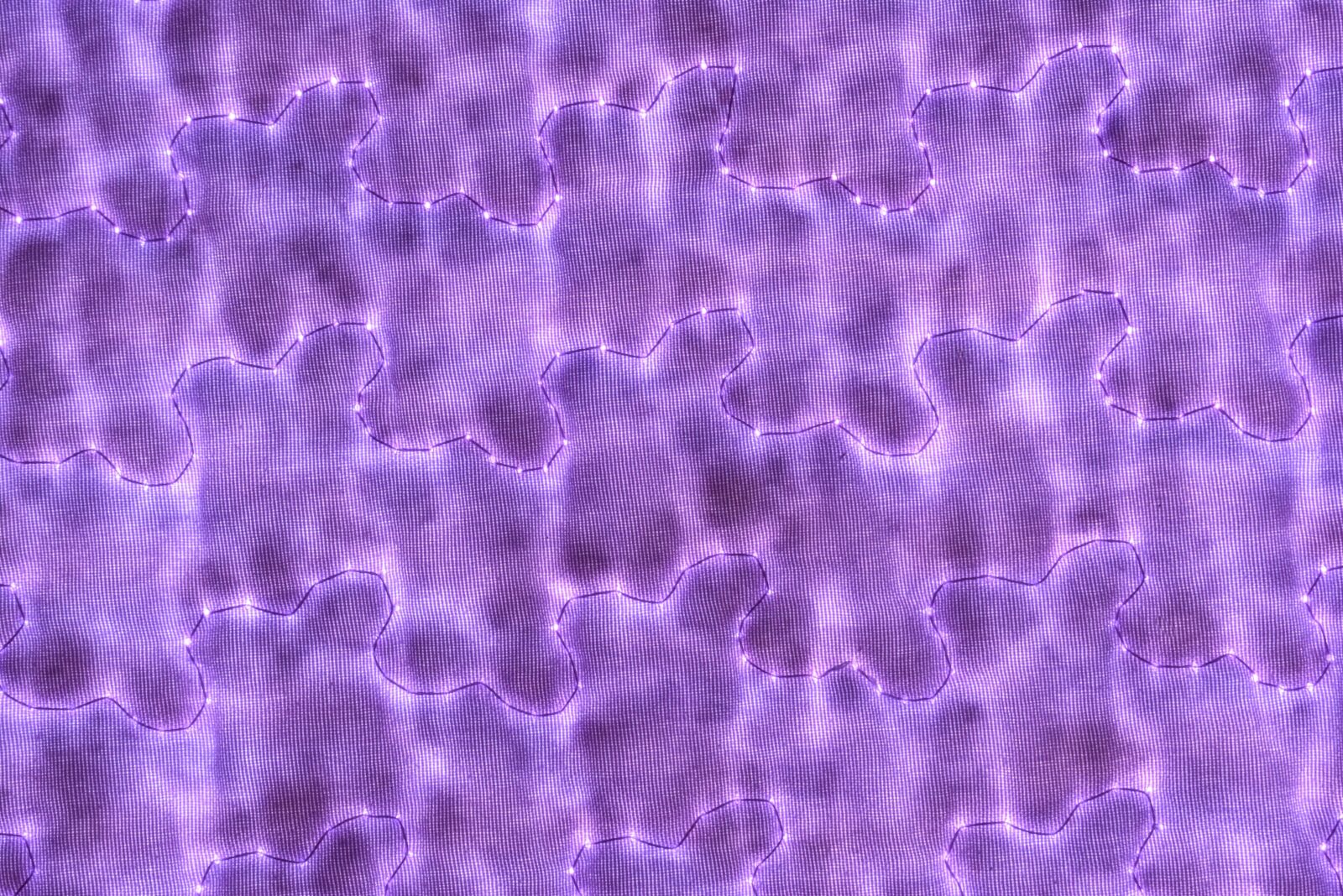 Nikon D3400 sample photo. Texture, transparency, transparent textile photography