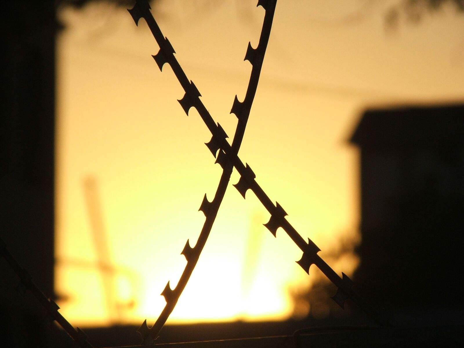 Fujifilm FinePix S5500 sample photo. Haydarpa a, barbed wire photography