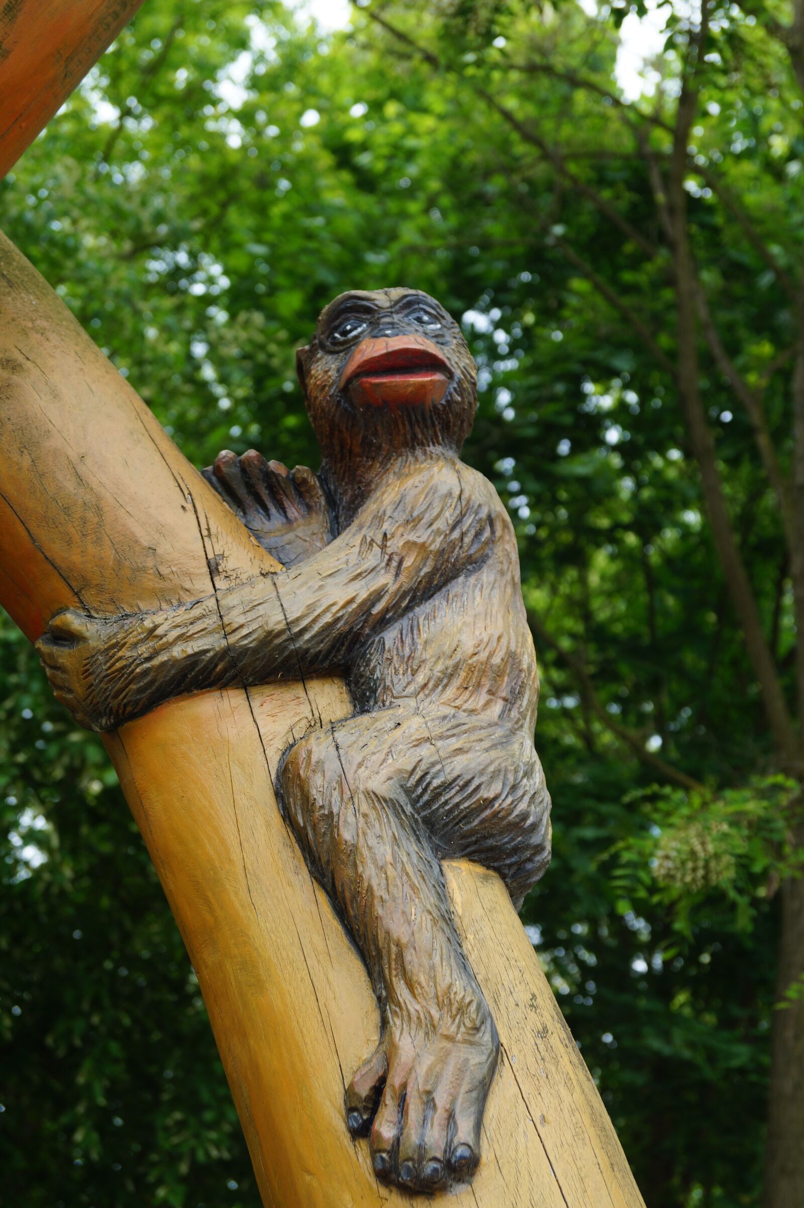 Sony DT 18-55mm F3.5-5.6 SAM II sample photo. Monkey, tree, äffchen photography