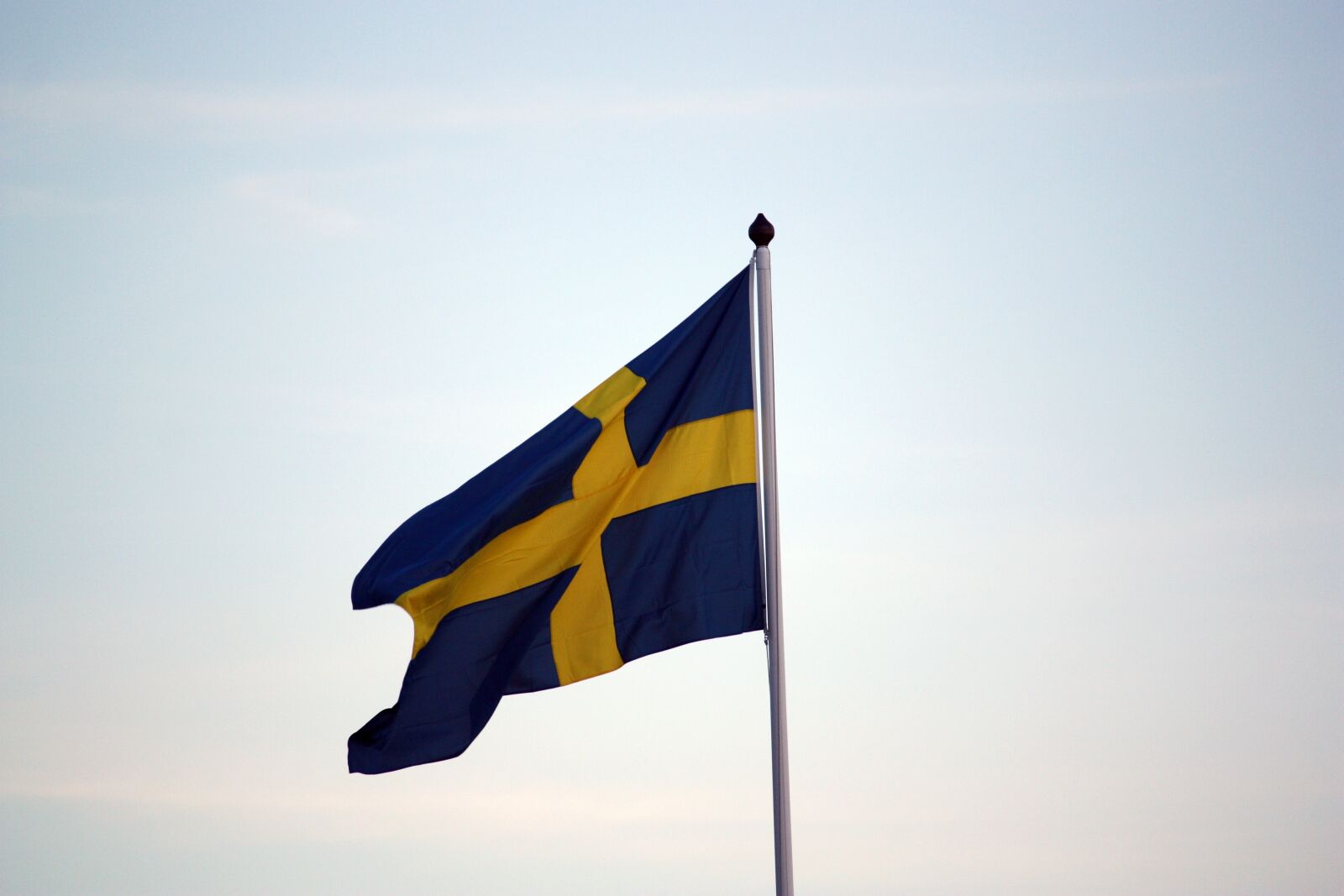 Canon EOS 450D (EOS Rebel XSi / EOS Kiss X2) sample photo. Flag, sweden, midsummer photography