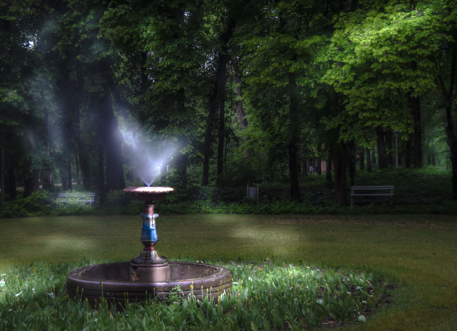 Nikon D3300 sample photo. Fountain, green, love, romance photography