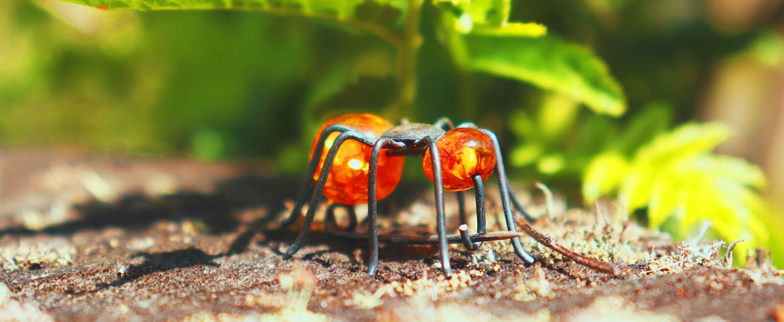Canon EOS 77D (EOS 9000D / EOS 770D) sample photo. Ant, glass, miniature photography