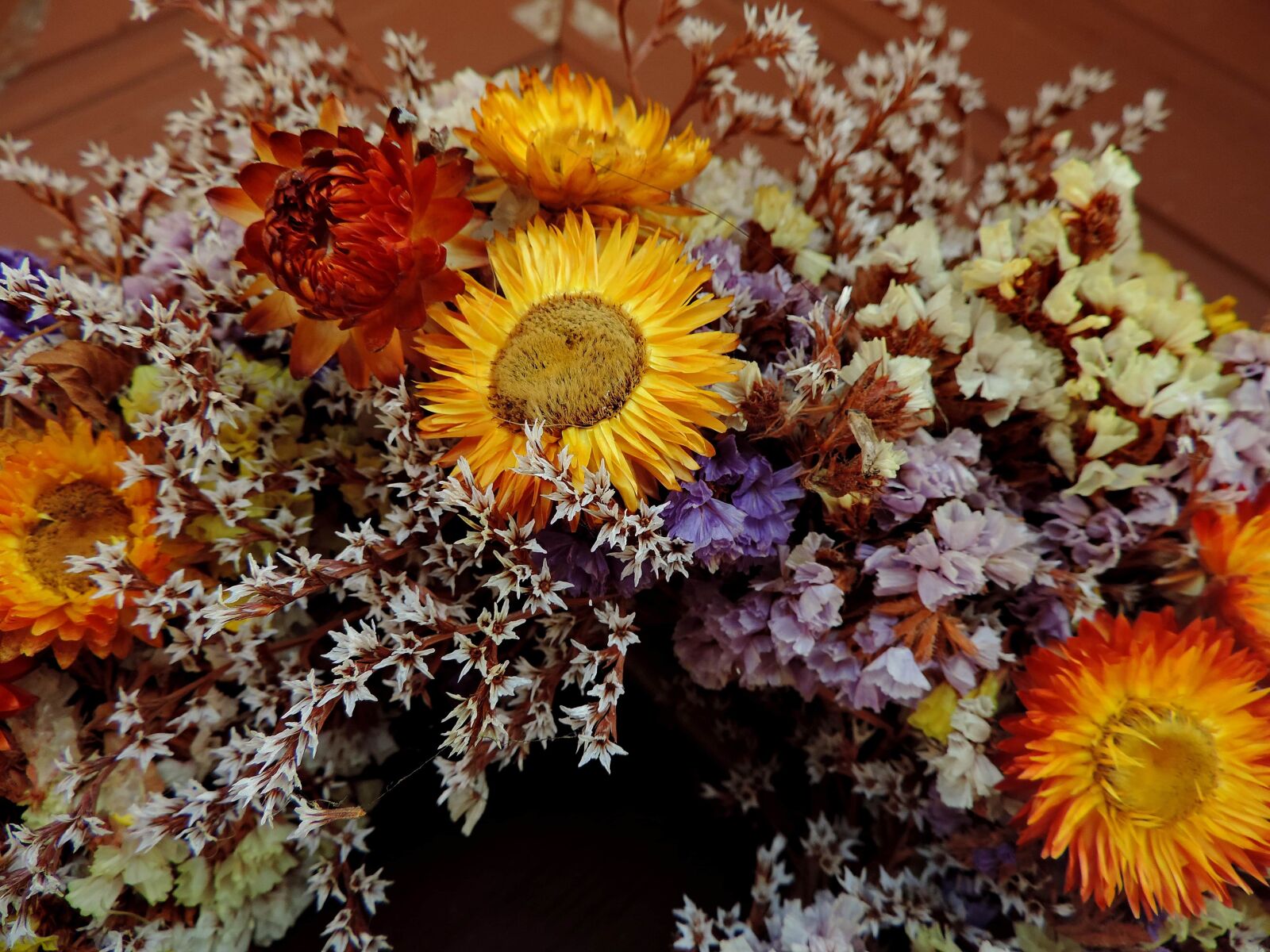 Nikon Coolpix P520 sample photo. Decoration, dry, still life photography