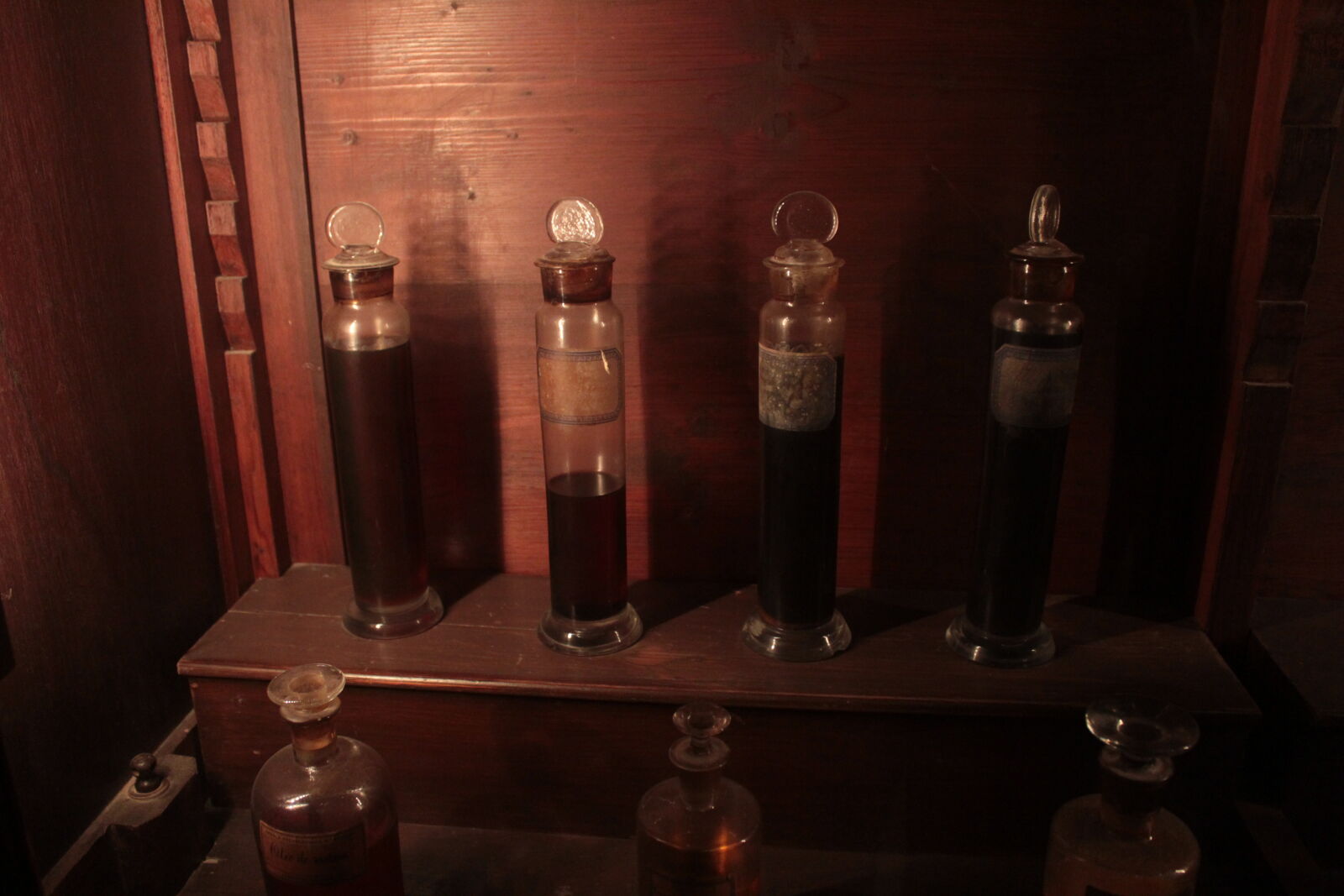 Canon EOS 550D (EOS Rebel T2i / EOS Kiss X4) sample photo. Liquid, tubes photography