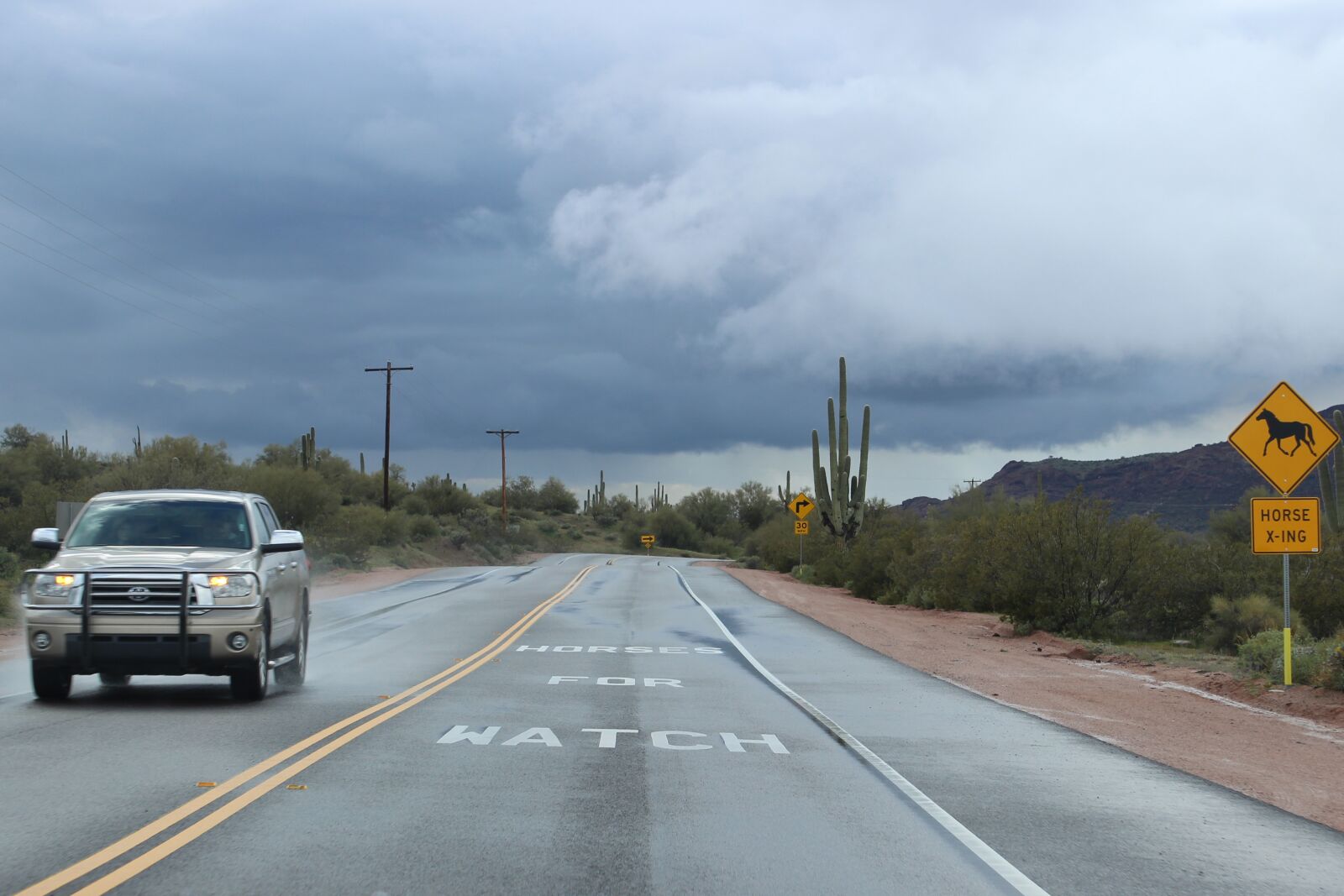 Canon EOS 600D (Rebel EOS T3i / EOS Kiss X5) sample photo. Desert, saguaro, cactus photography