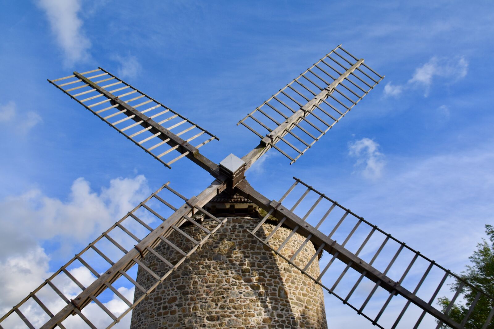 Nikon D5600 sample photo. Mill, wings of the photography