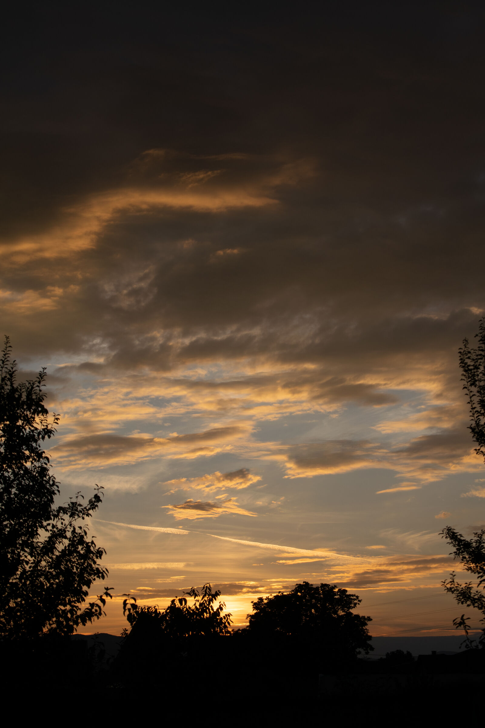 Nikon D3300 sample photo