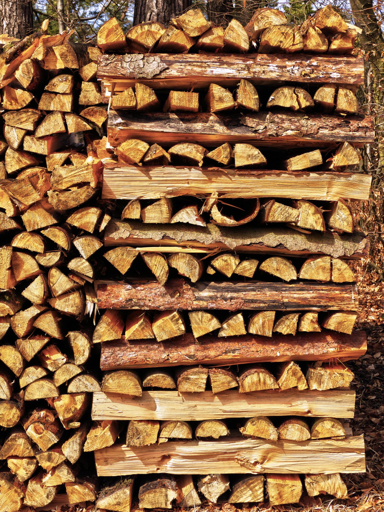 Panasonic Lumix DMC-FZ1000 sample photo. Strains, firewood, stacked photography