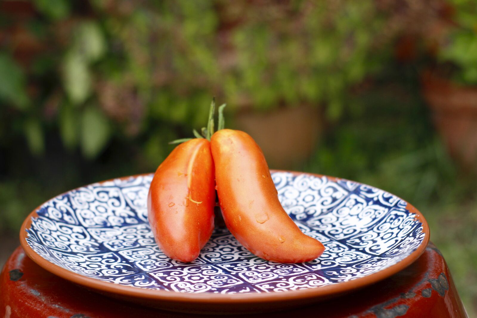 Canon EOS 600D (Rebel EOS T3i / EOS Kiss X5) sample photo. Tomato, summer, vegetables photography