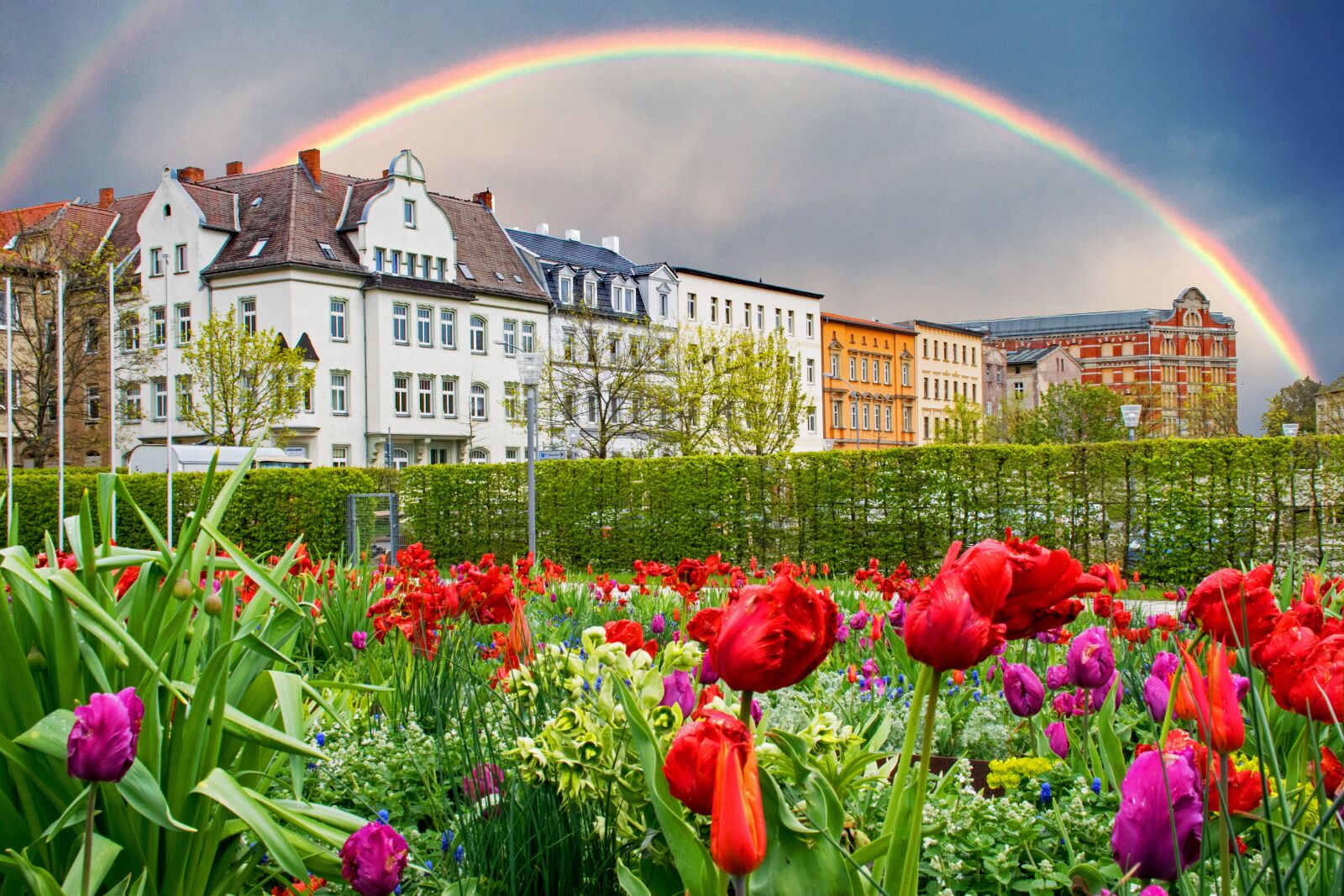 Nikon D5300 sample photo. Zeitz, saxony-anhalt, germany photography