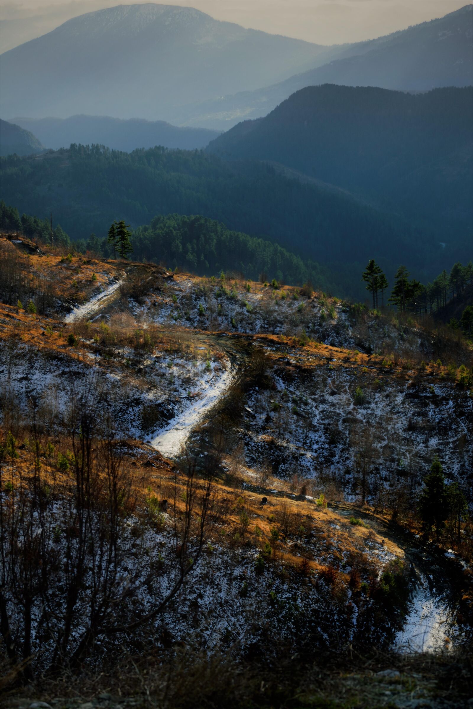 Nikon D5300 sample photo. Snow, winter, cold photography