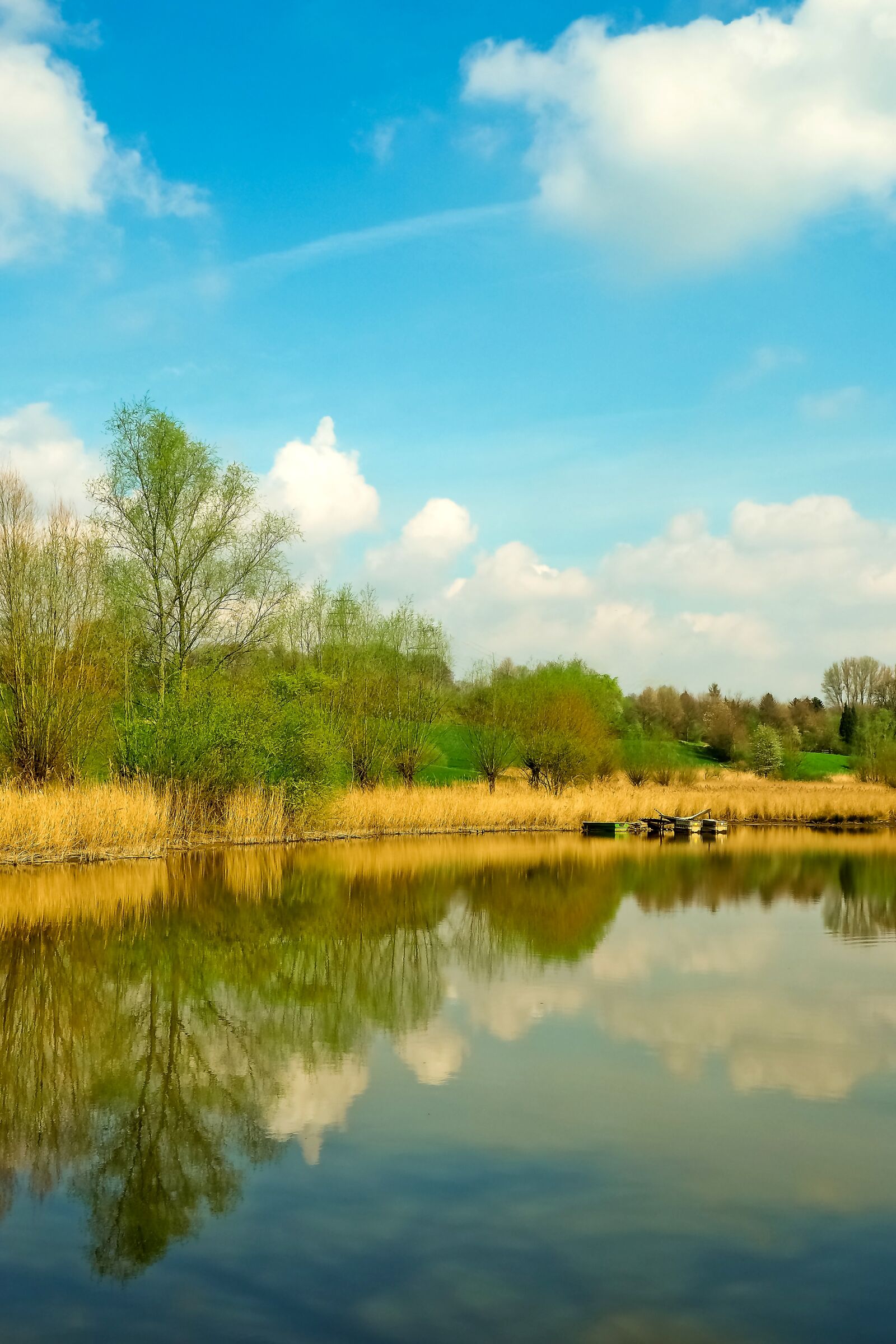 Olympus OM-D E-M10 sample photo. Landscape, meadowlands, trees photography