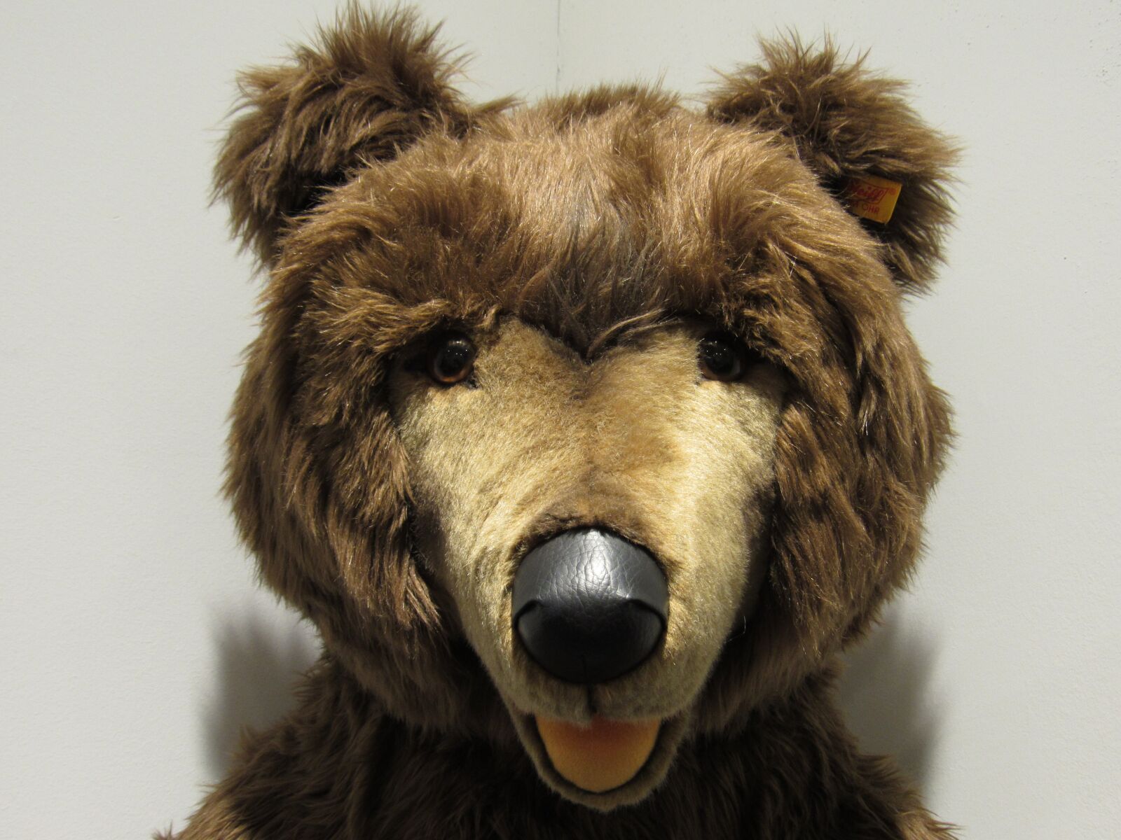 Canon PowerShot SX530 HS sample photo. Bear, teddy, tenderness photography