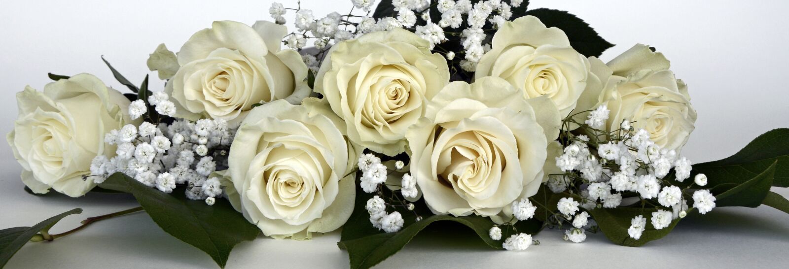 Nikon D7100 sample photo. Roses, rose flower, flowers photography