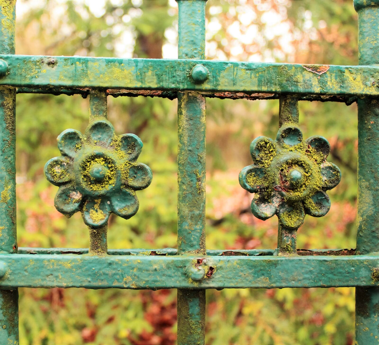 Canon EOS 550D (EOS Rebel T2i / EOS Kiss X4) sample photo. Goal, fence, green photography