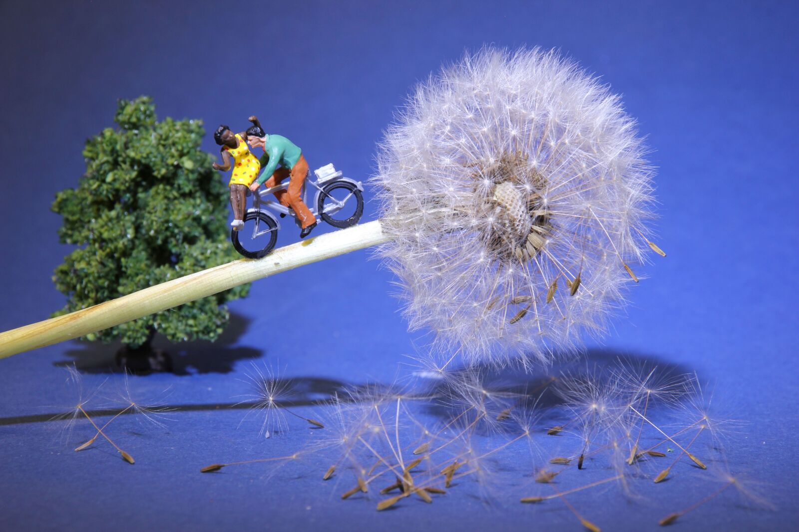 Canon EOS 550D (EOS Rebel T2i / EOS Kiss X4) sample photo. Dandelion, cycling, miniature figures photography