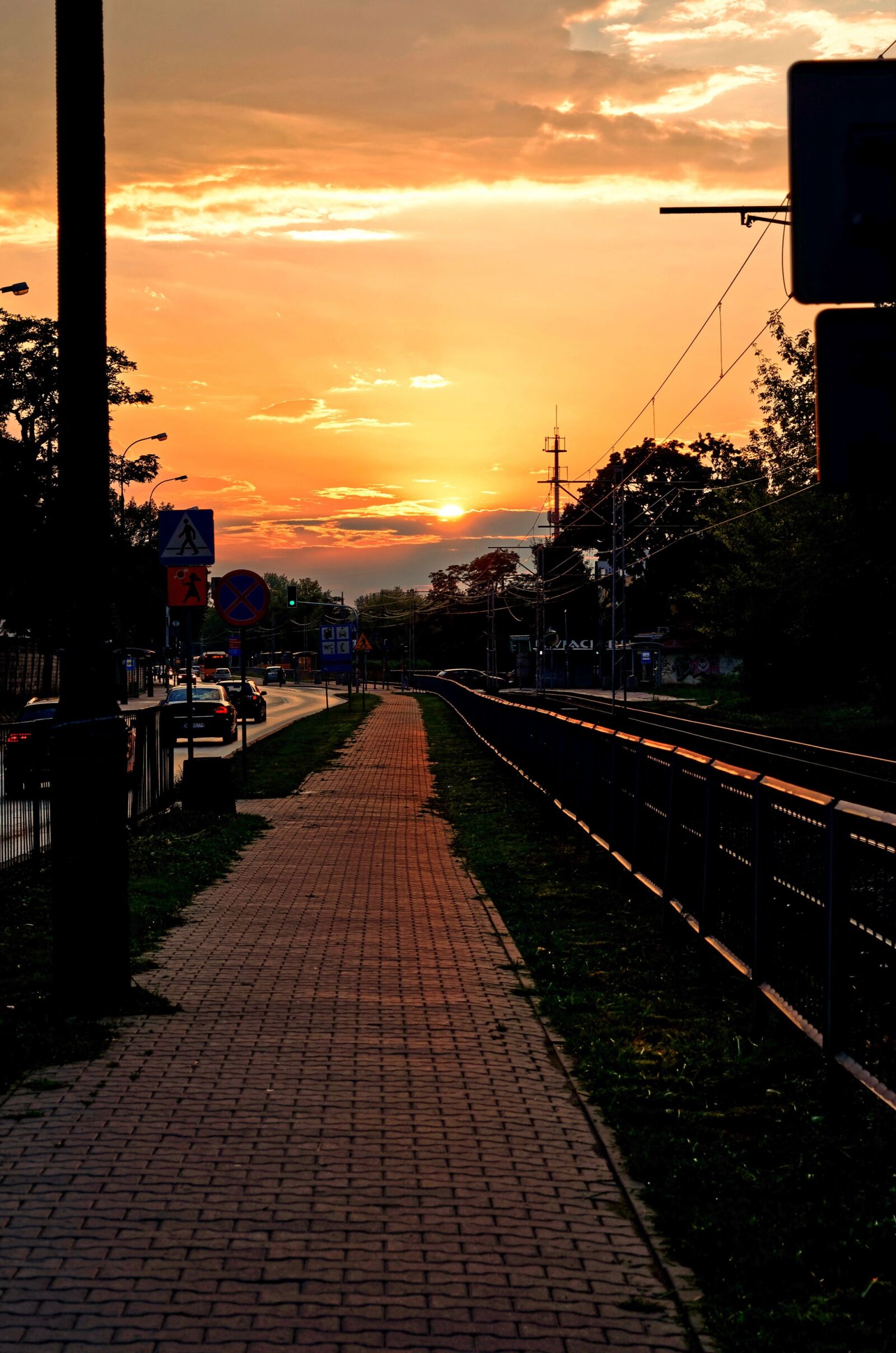 Nikon D5100 sample photo. The sidewalk, paved, street photography
