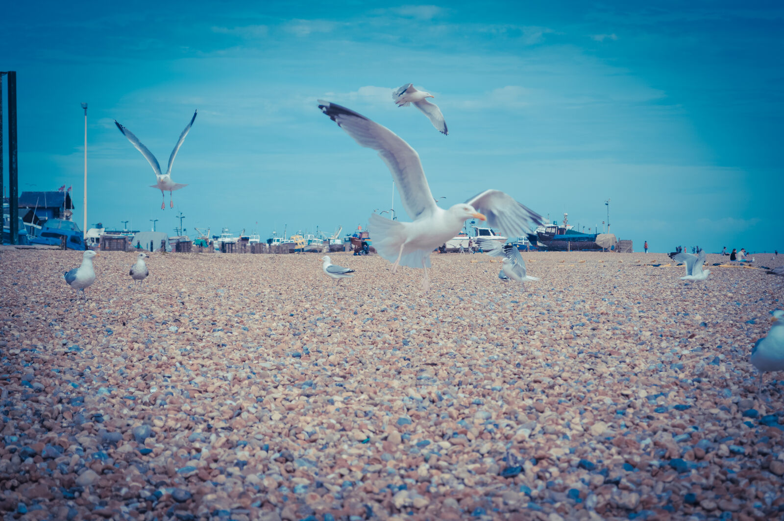 Nikon D3200 sample photo. Beach, england, pier, seagulls photography