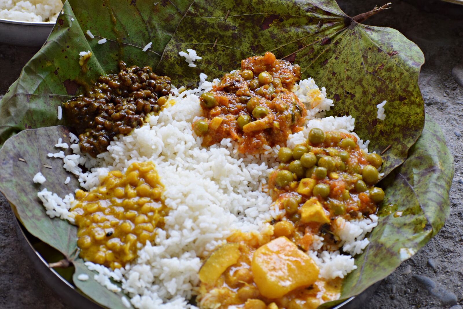 Nikon D3300 sample photo. Food, traditional, indian photography
