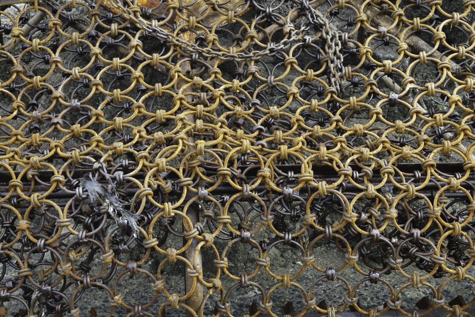 Panasonic DMC-FZ18 sample photo. Erquy, dredge, coquille saint-jacques photography