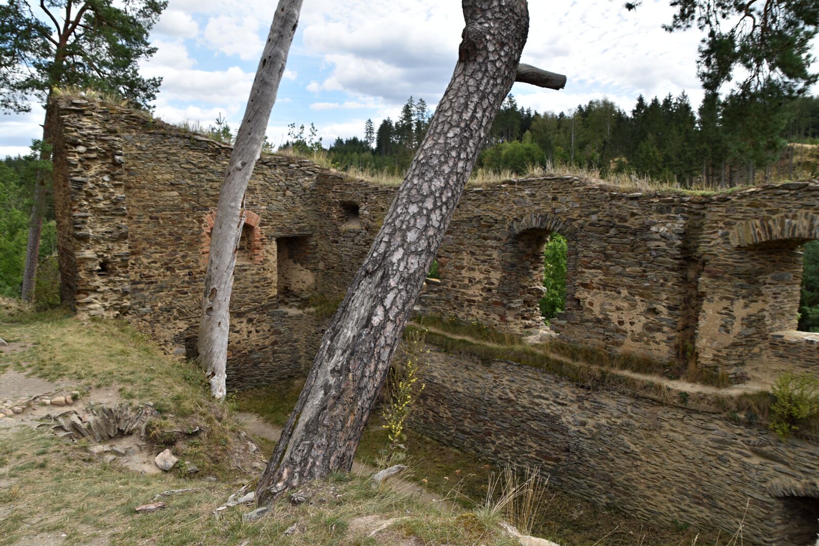 Nikon D3500 sample photo. Castle, rock, forest photography