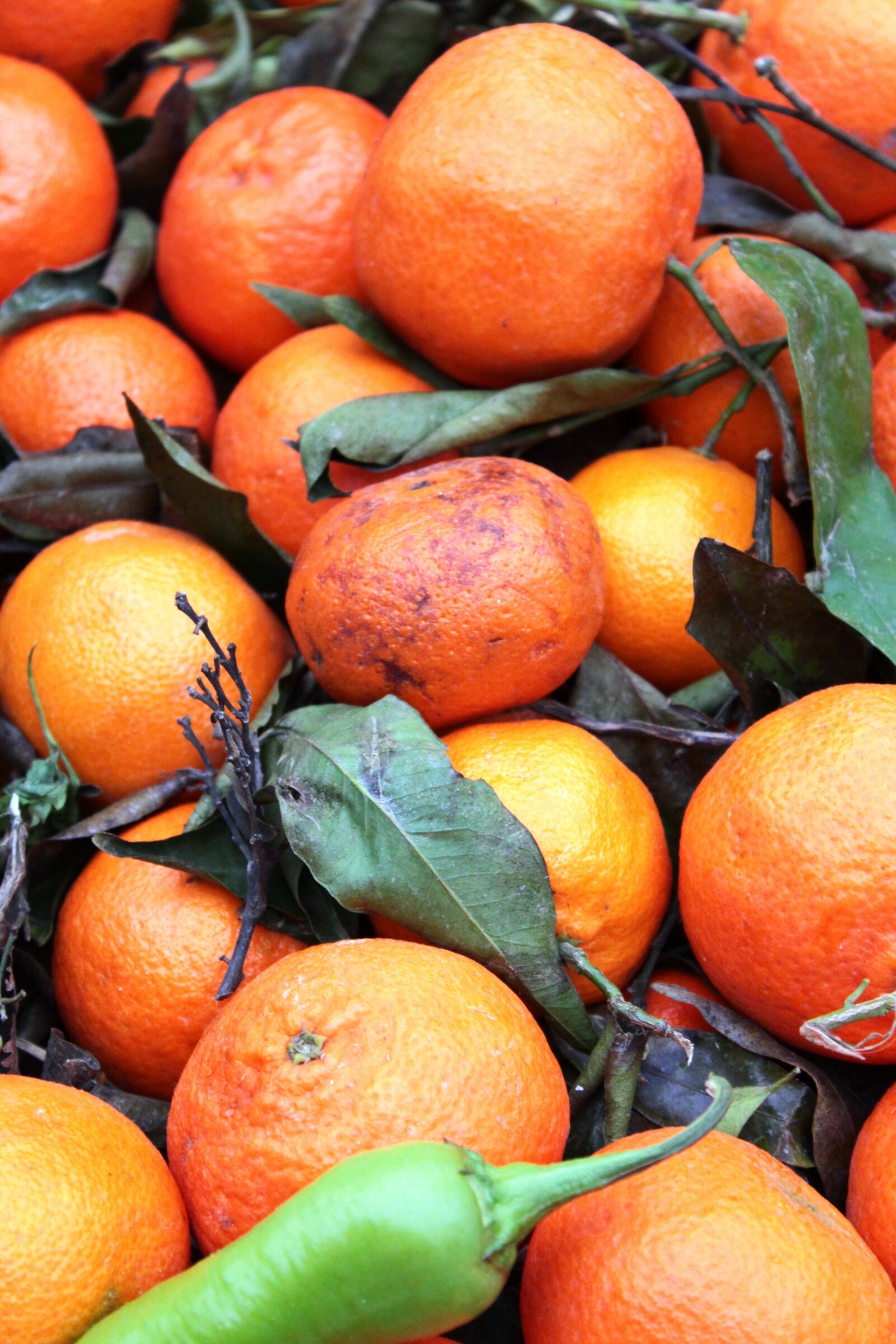 Canon EOS 1200D (EOS Rebel T5 / EOS Kiss X70 / EOS Hi) sample photo. Oranges, market, food photography