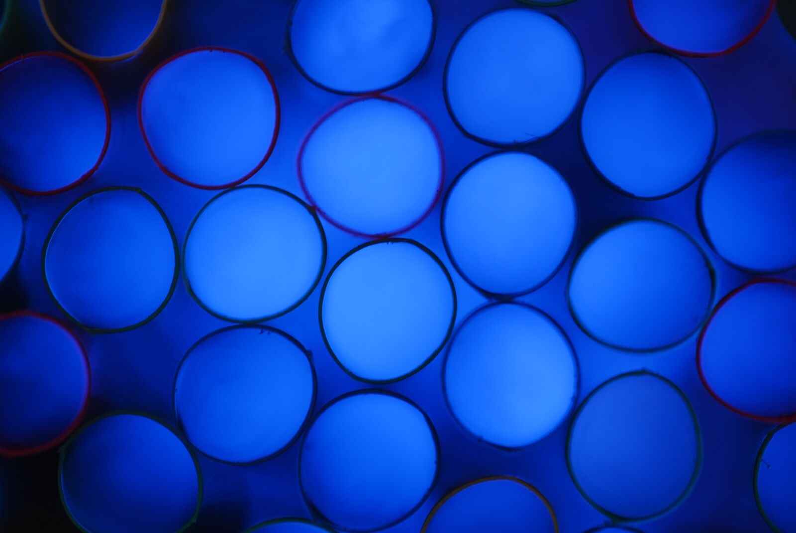 Nikon D200 sample photo. Background, photo, blue photography