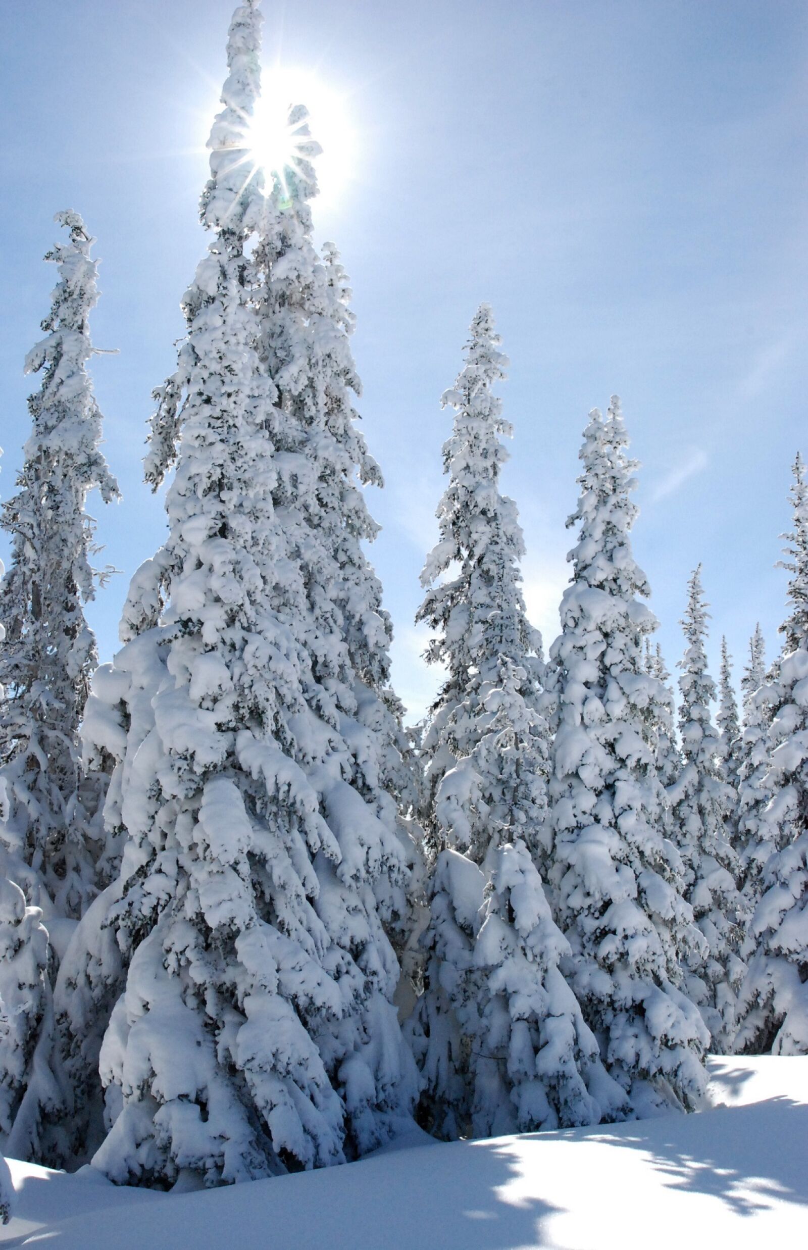 Nikon D80 sample photo. Landscape, winter, snow photography