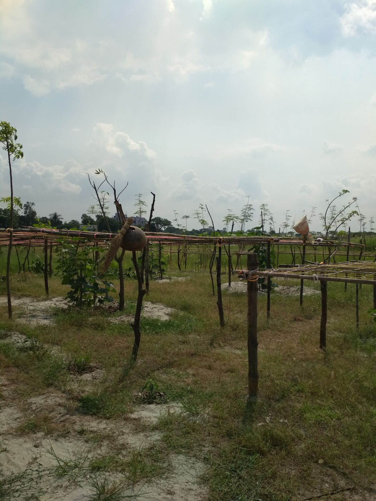 Xiaomi Redmi 4X sample photo