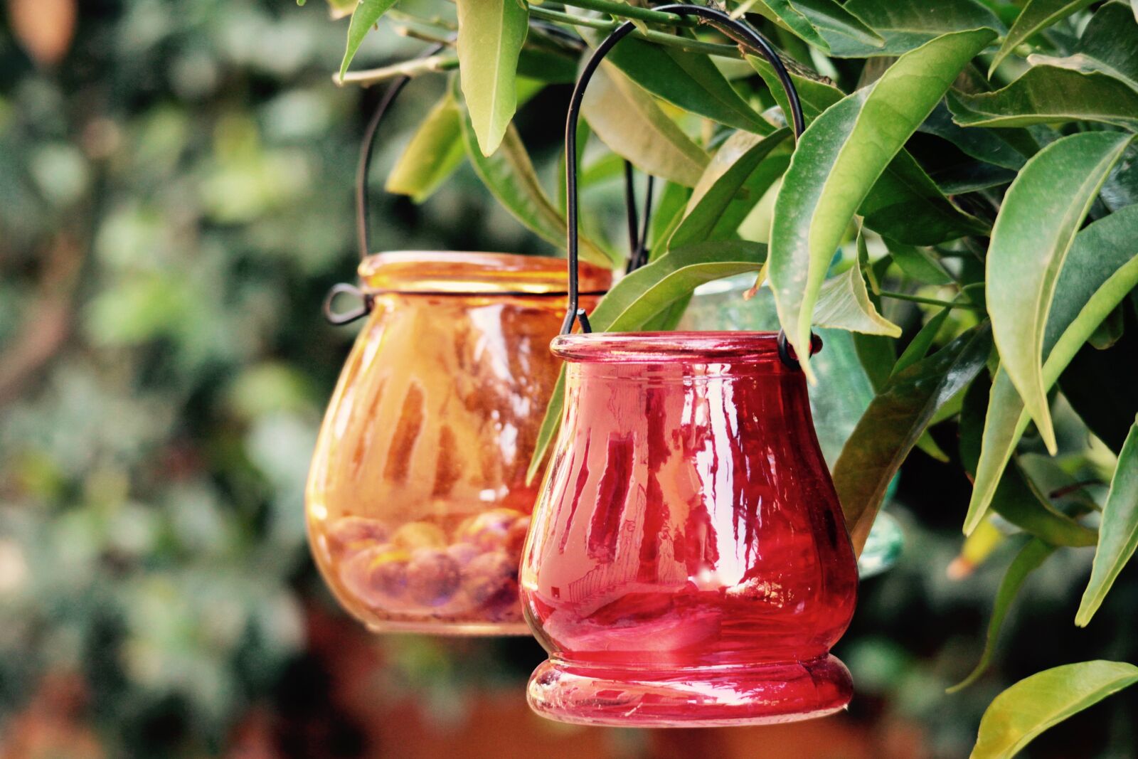 Canon EOS M sample photo. Cans, vases glass, garden photography
