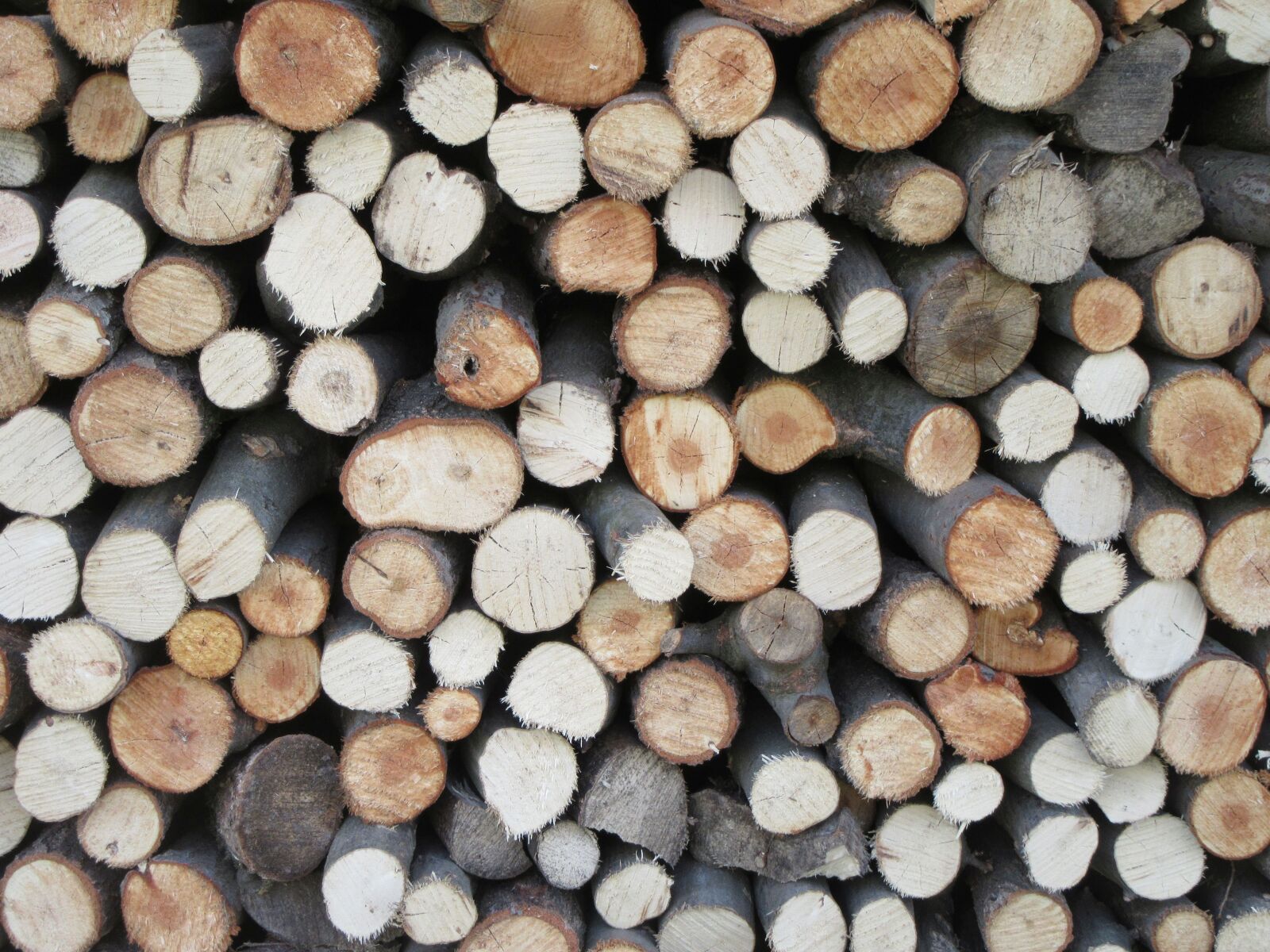 Canon PowerShot SX610 HS sample photo. Wood, stack, pile photography