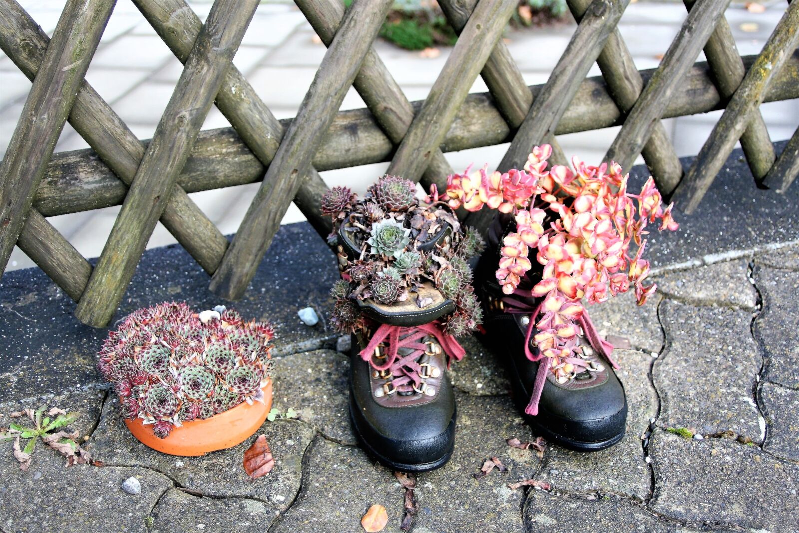 Canon EOS 400D (EOS Digital Rebel XTi / EOS Kiss Digital X) sample photo. Shoes, sandals, the moat photography