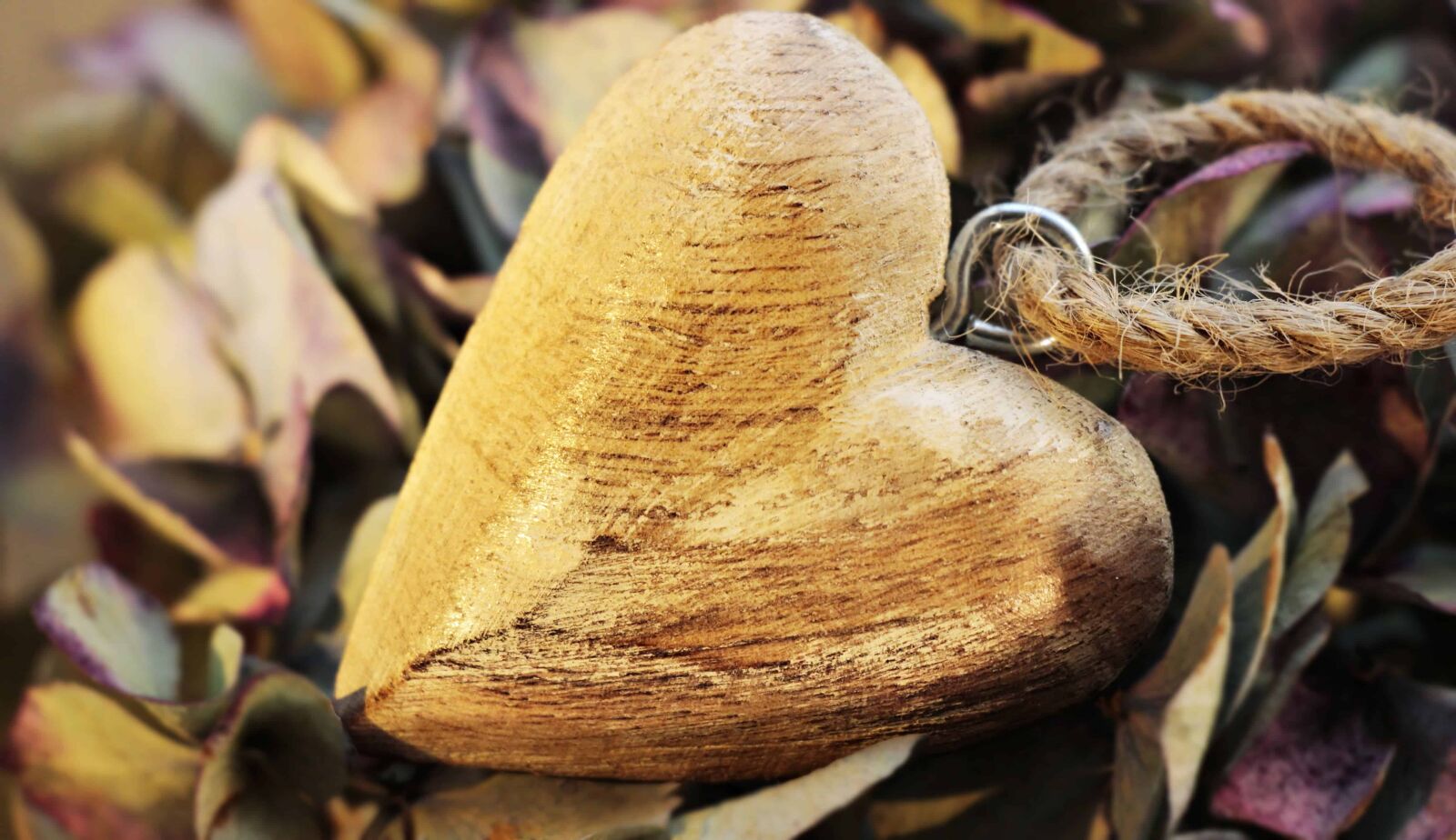 Canon EOS 100D (EOS Rebel SL1 / EOS Kiss X7) sample photo. Nature, rope, metal, heart photography