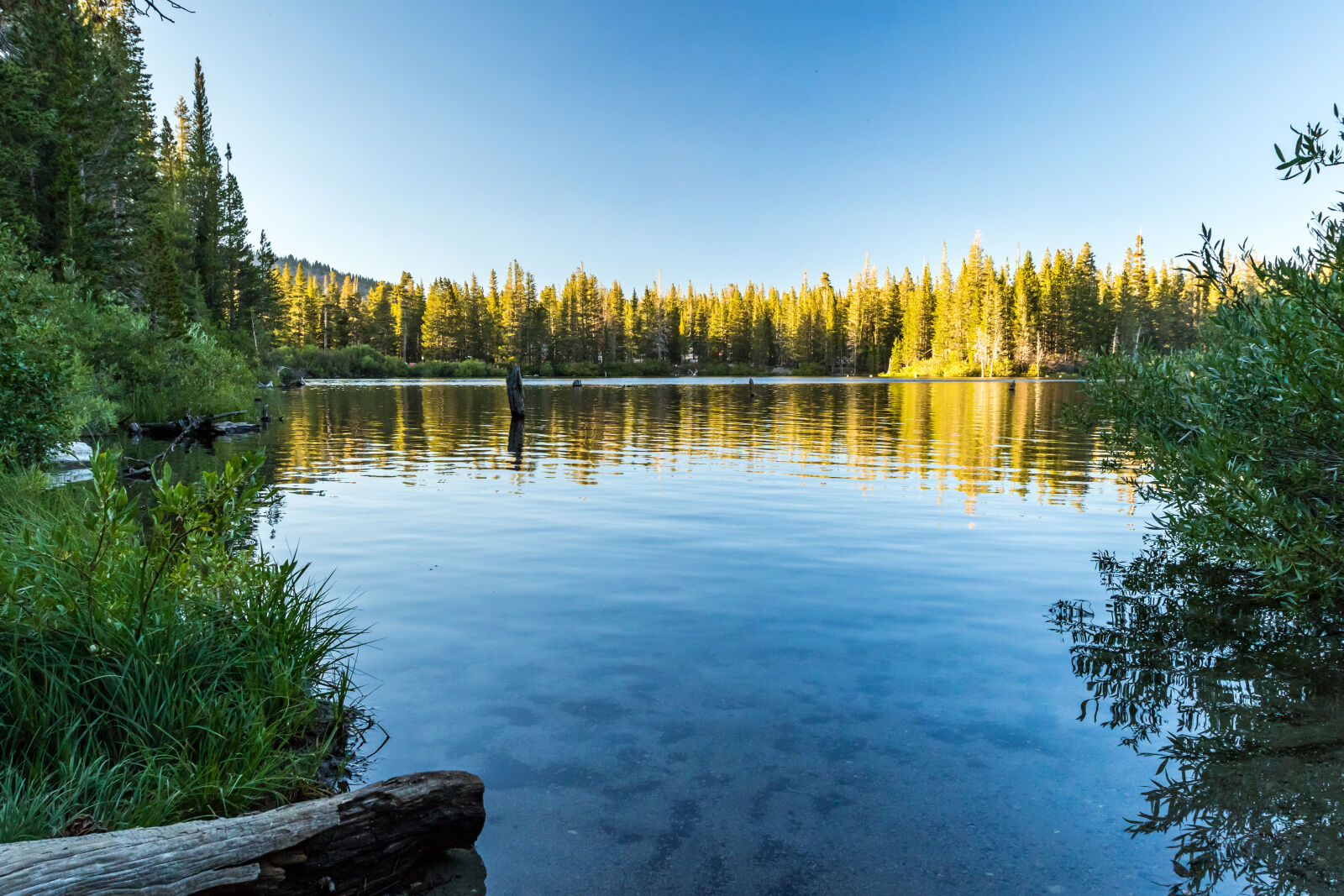 Canon EF 16-35mm F2.8L II USM sample photo. Blue, california, forest, lake photography