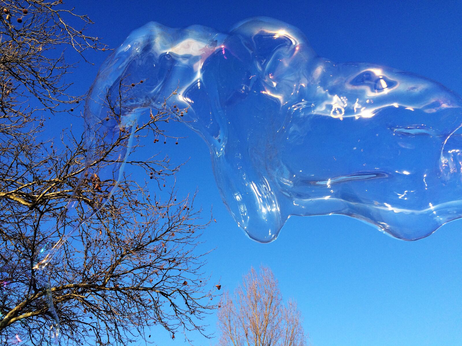 Apple iPhone 5s sample photo. Soap bubble, huge, colorful photography
