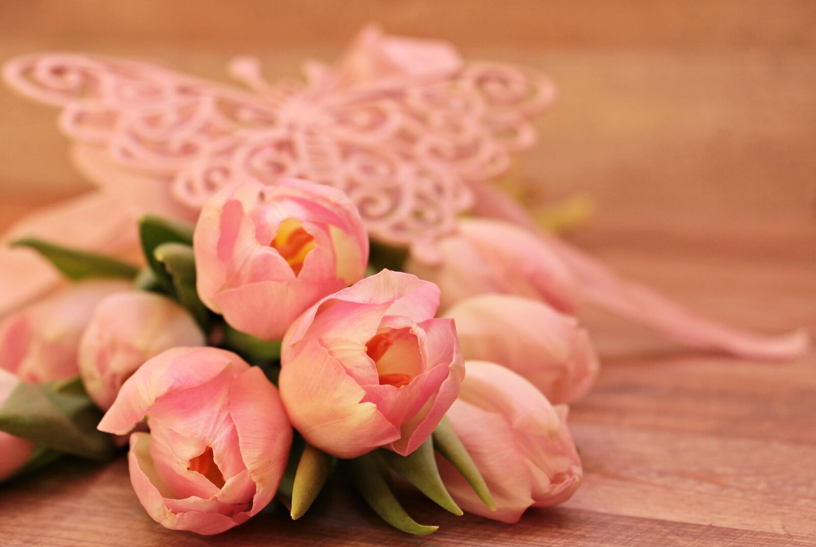Canon EOS 550D (EOS Rebel T2i / EOS Kiss X4) sample photo. Tulips, tulipa, butterfly photography