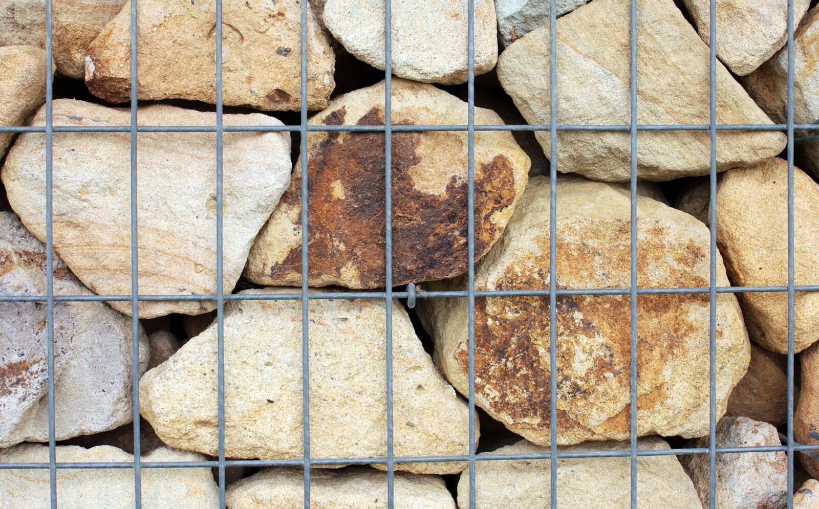 Canon EOS 550D (EOS Rebel T2i / EOS Kiss X4) sample photo. Brick, wall, texture, surface photography