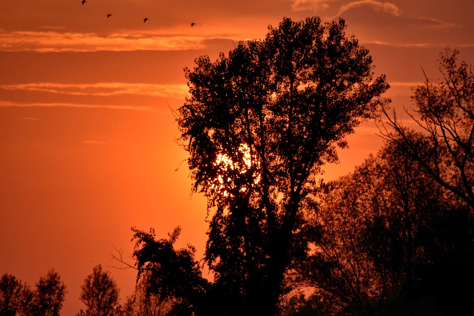 Nikon D5500 sample photo. Beautiful photo, fair weather photography