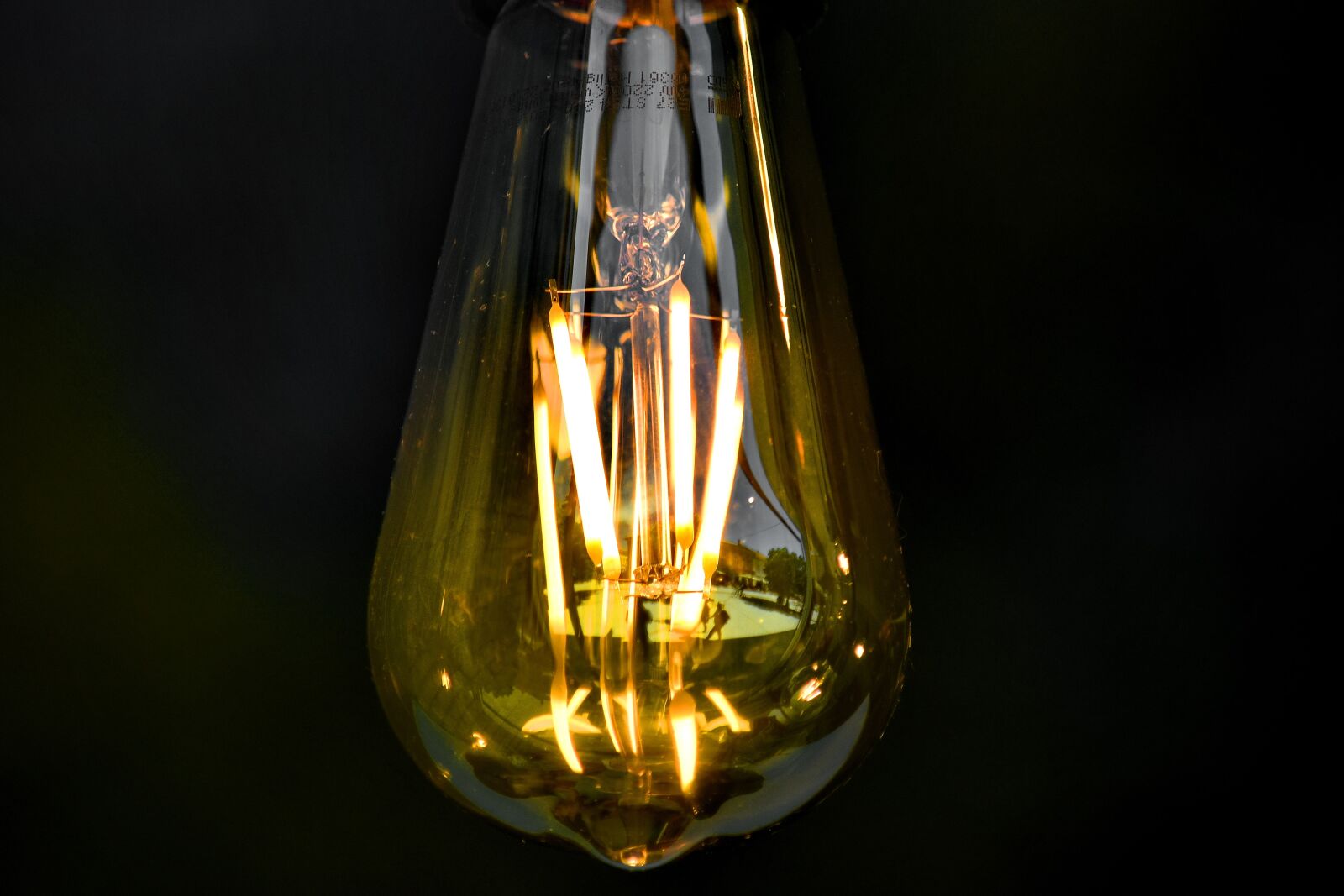 Nikon D5500 sample photo. Close-up, electricity, light brown photography