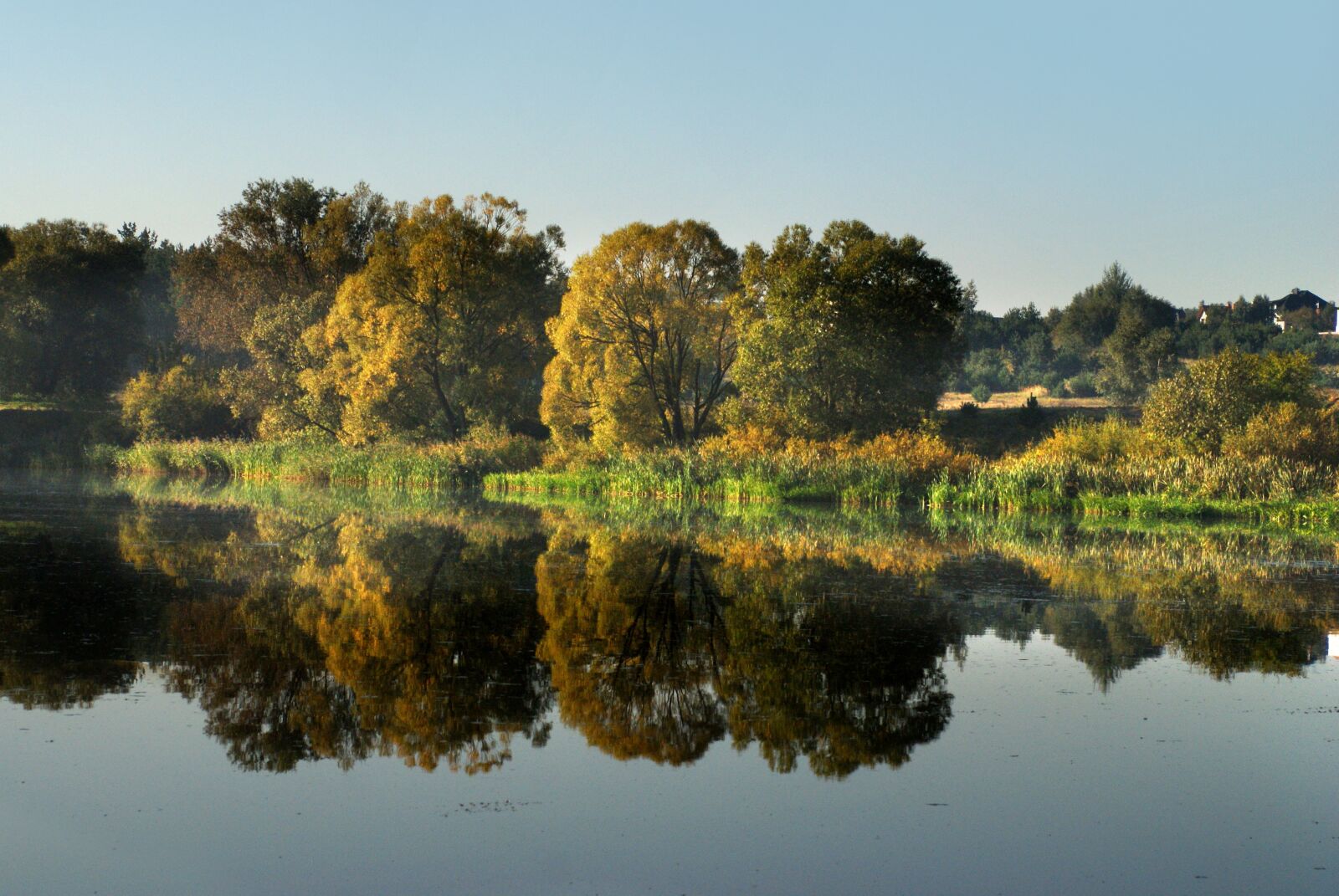Sony Alpha DSLR-A200 sample photo. Author, skibka, photo photography